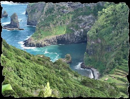 flo__203___medium_bis